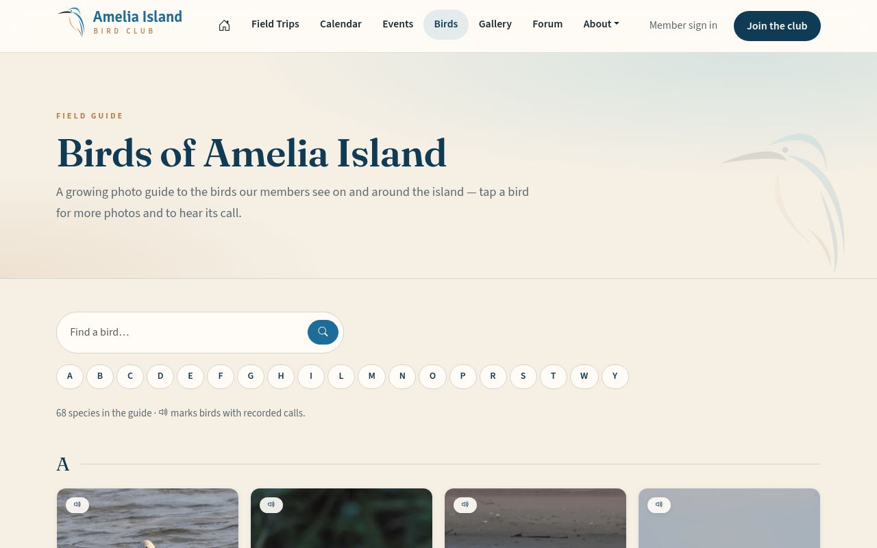 Birds of Amelia Island.