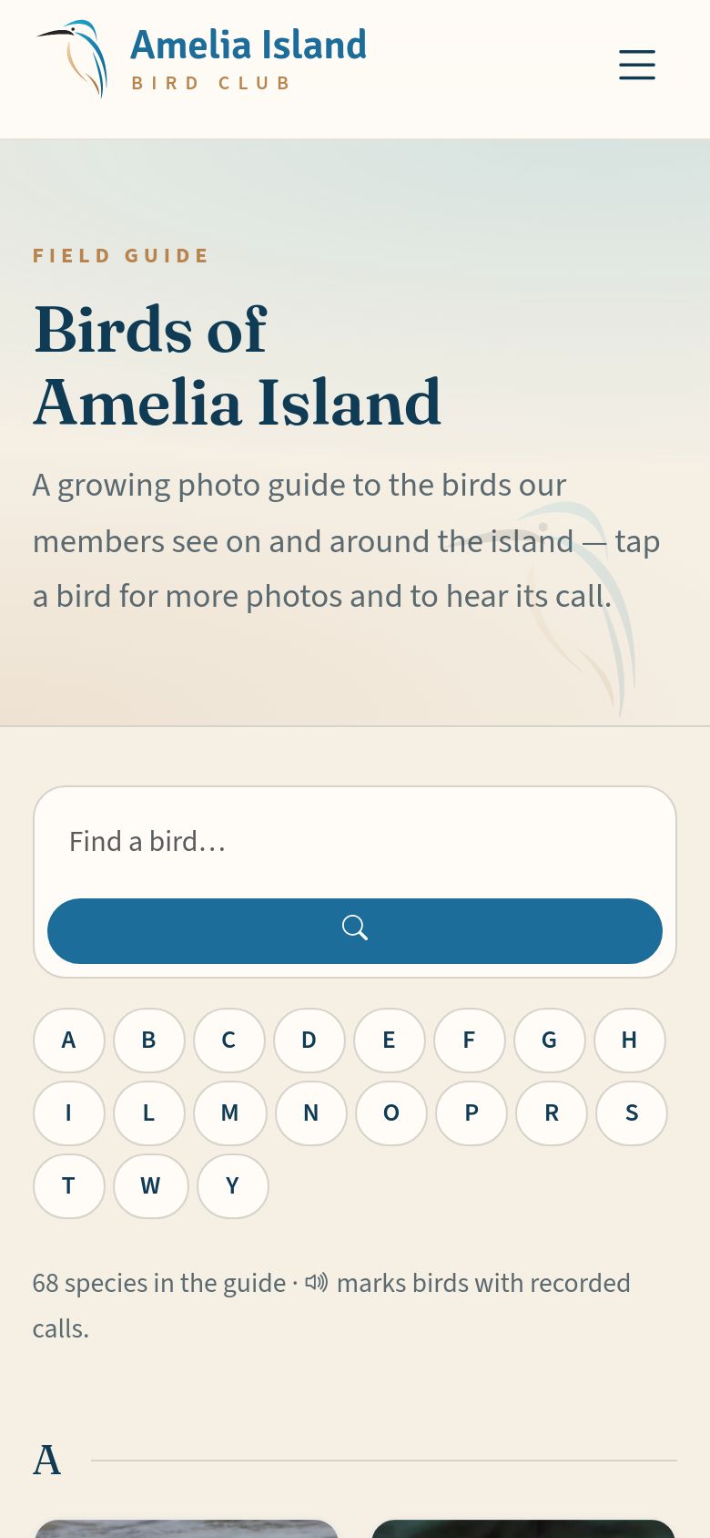 Birds of Amelia Island.