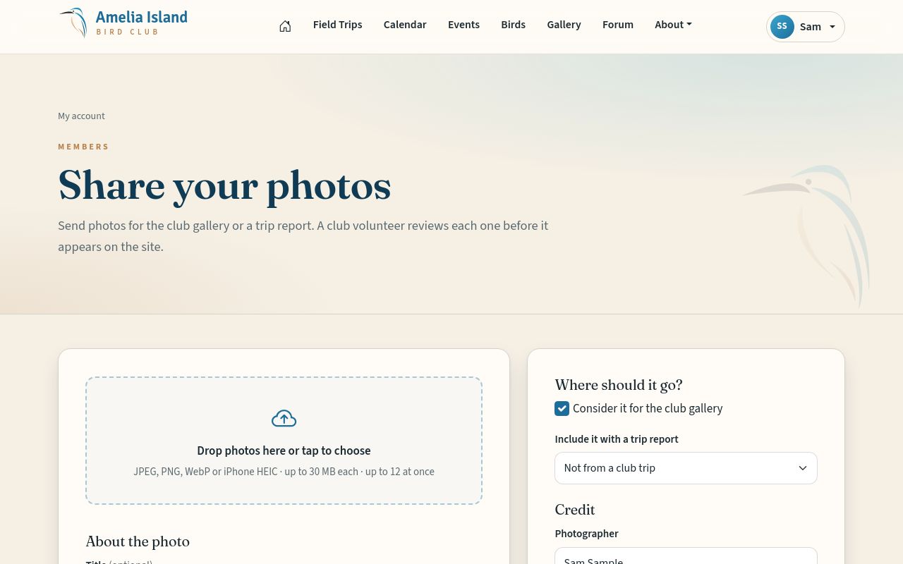 The photo form. Everything except the photos is optional.