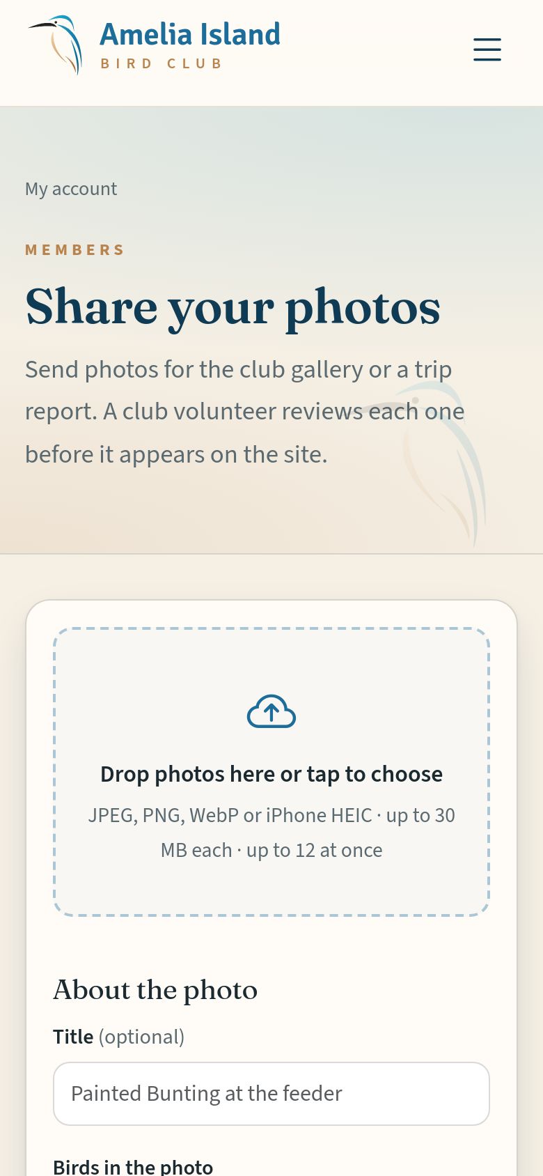 The photo form. Everything except the photos is optional.