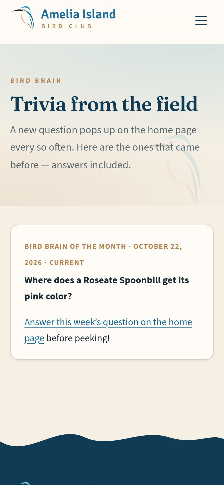 Bird Brain trivia.