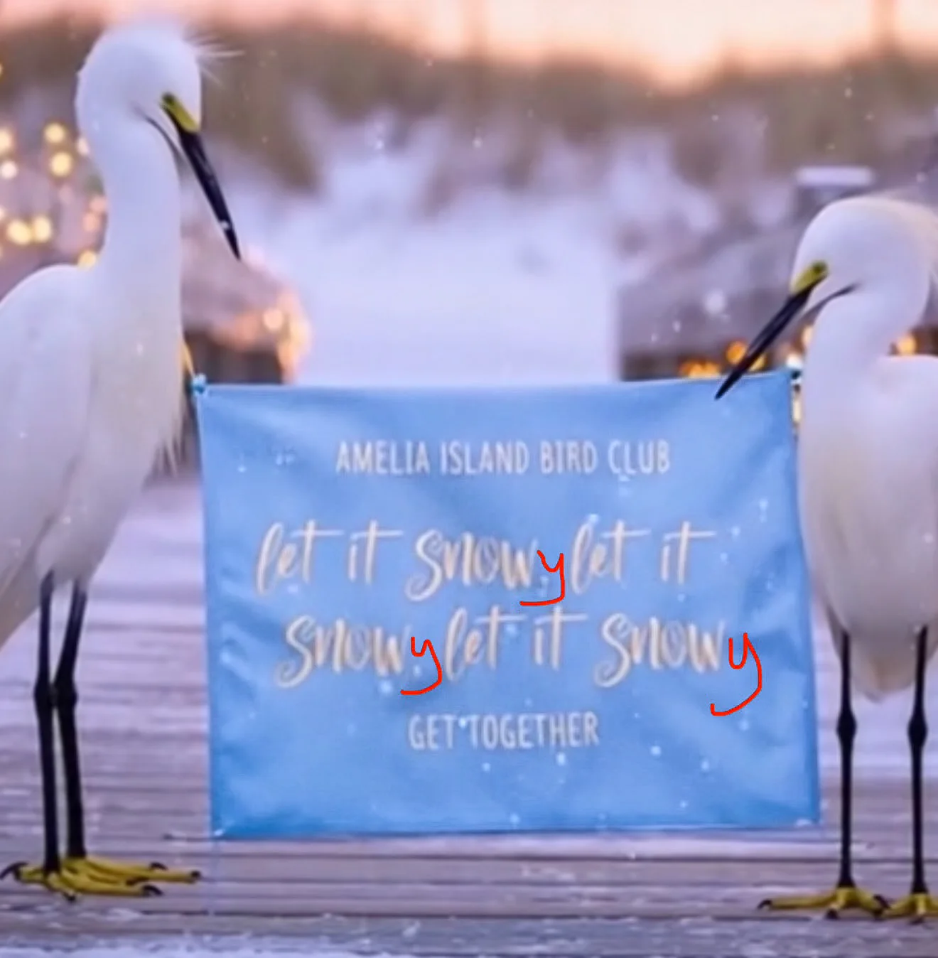 Two Snowy Egrets on a snowy boardwalk hold a blue banner promoting the bird club's Let It Snowy event.