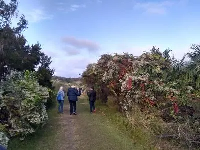 Birding Egan’s Greenway in November