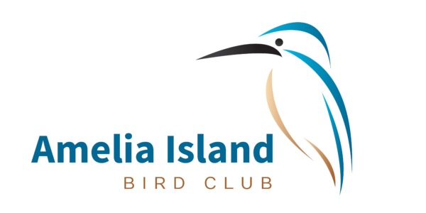 Amelia Island Bird Club